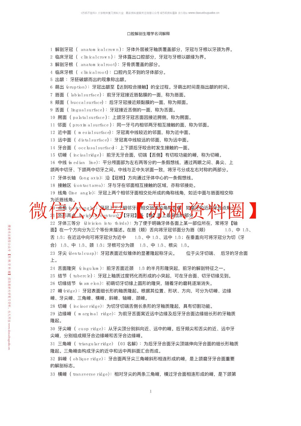 口腔解剖生理学